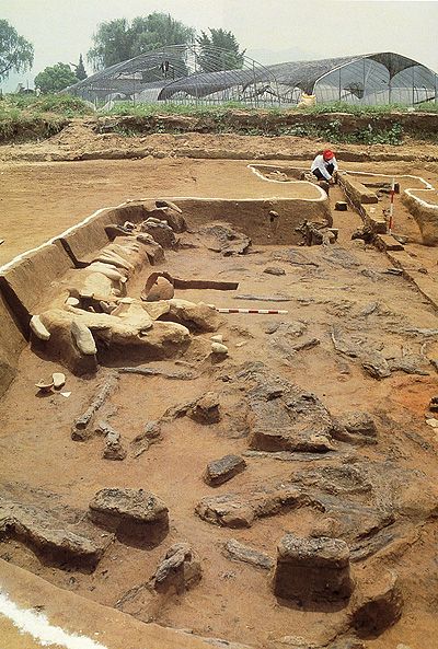 exhibit-antiquity04-12