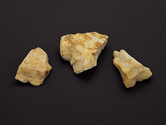 exhibit-antiquity01-05