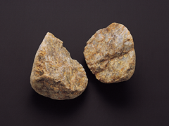 exhibit-antiquity01-06