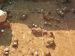 exhibit-antiquity01-07