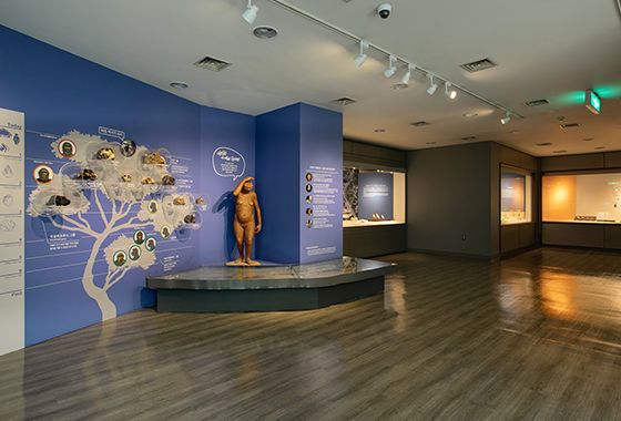 구석기시대-전시2