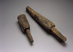 participation-reading-img03