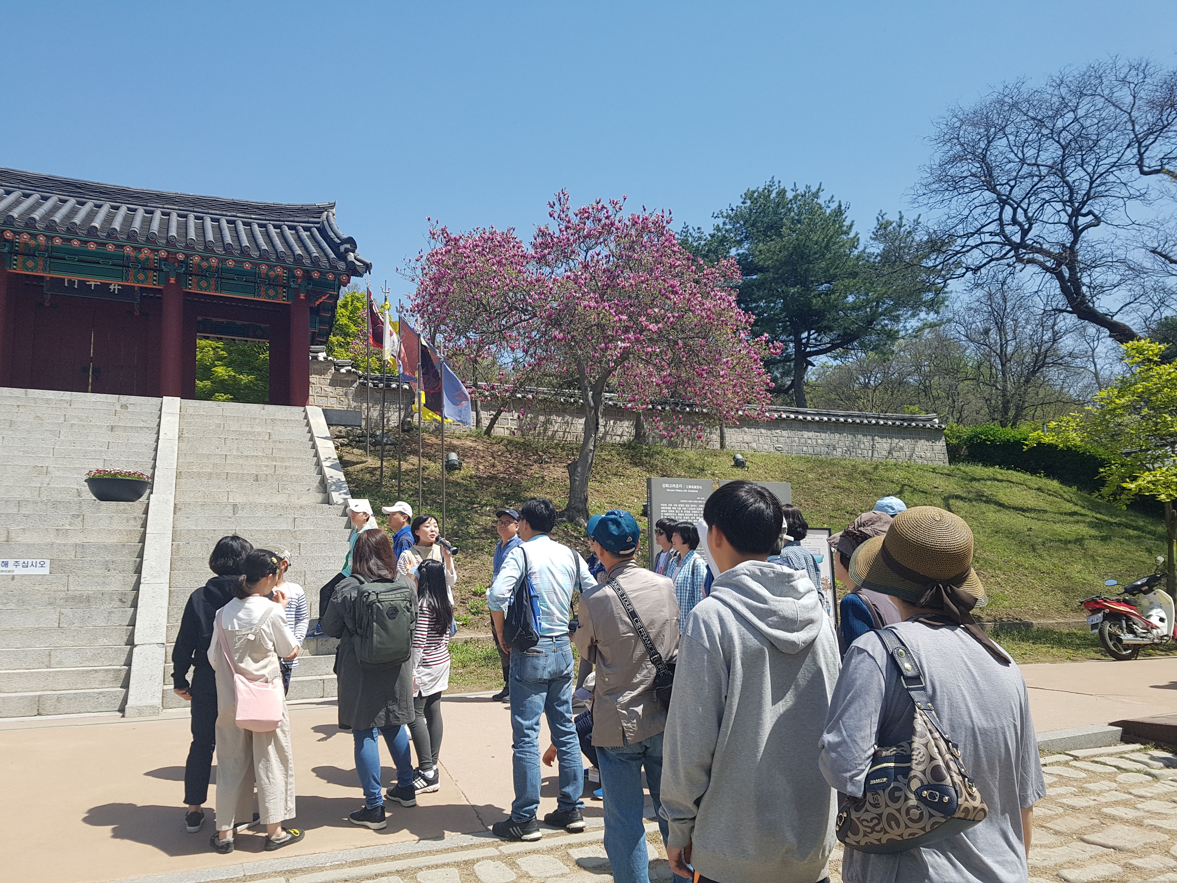 20180428_112329.jpg