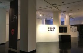 IMG_3111